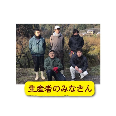 熊野ファーム 紀州南高梅「 しそかつお 」梅干 1ｋｇ