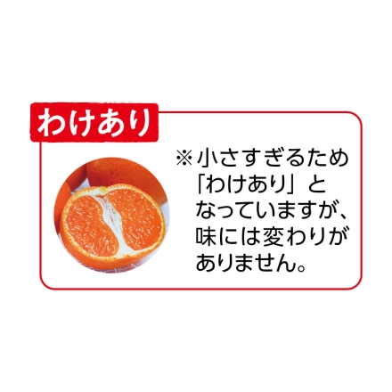 わけあり 佐賀県産 小玉ハウスみかん 1.5kg（35～50個）