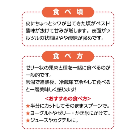 沖縄県産 パッションフルーツ800ｇ