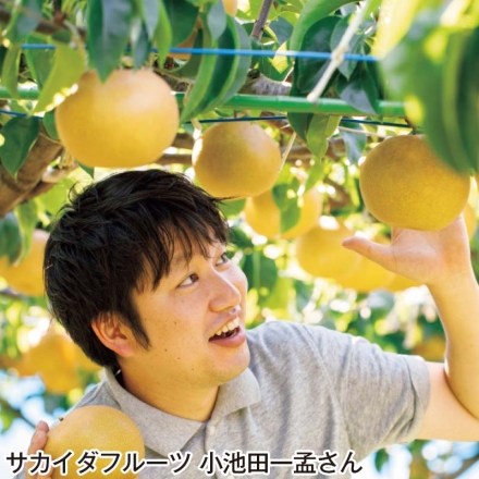 石川県産 幸水梨 2.5kg（6～8個）