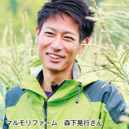 静岡県産とうもろこし『甘々娘ｏｒ甘太郎』 4～5本（2L～3L）