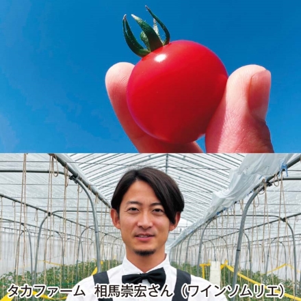 青森県産 ミニトマト「 ハニーミニ 」 1kg