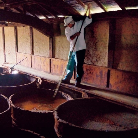 お歳暮のし付き はさめずいろいろ8本セット