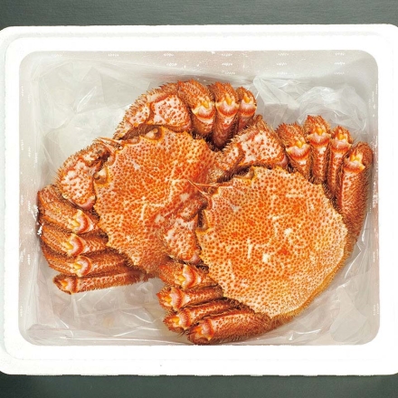 出石そば 新そば（8食）