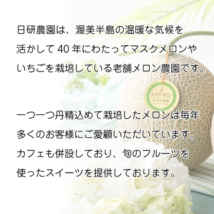 お中元のし付き マスクメロン1個 御中元 夏ギフト ギフト 贈答