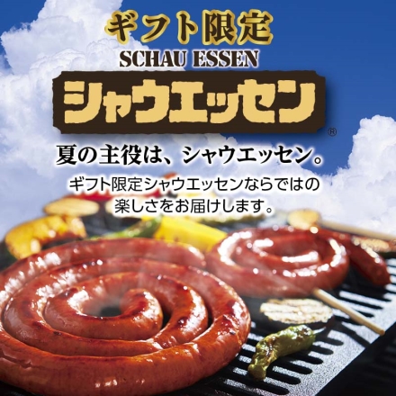 お中元のし付き ギフト限定シャウエッセン ＳＥＧ－330 シャウエッセン100g×2、シャウエッセンおいちぃず・シャウエッセンチョリソー 各100g、シャウステーキ・ぐるぐる巻いたシャウエッセン 各122g 御中元 夏ギフト ギフト 贈答