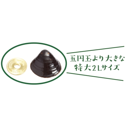 冷凍 宍道湖産大和しじみ 500g×2