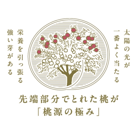 お中元のし付き 福島県産 桃源の極み 1kg（3～4個） 御中元 夏ギフト ギフト 贈答