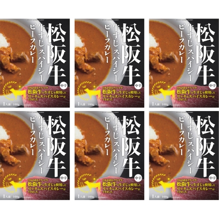 松阪牛 牛すじスパイシービーフカレー 6食セット