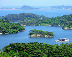 【宮城】松島島巡り観光船　2名様＜仁王丸コース＞松島湾一周大型船乗船プラン 50分コース
