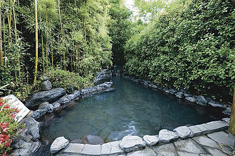 【大分】瀬音・湯音の宿浮羽　2名様 日帰り入浴プラン≪昼食付≫≪お部屋での休憩≫