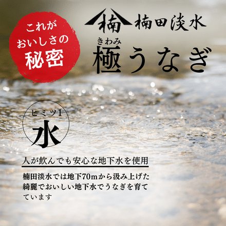 鹿児島県 楠田の極うなぎ 蒲焼き 2尾セット ( 1尾 110～129g ) 熨斗なし