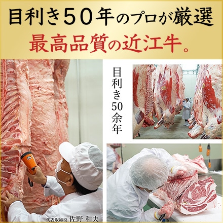 近江牛 贅沢 食べ比べ セット C ステーキ用 焼肉用 700g 4～5人分