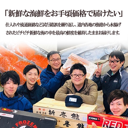 北海道産直　新巻鮭　真空切身加工　1本