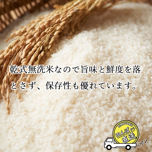 青森県産 まっしぐら 無洗米 5kg 令和5年度