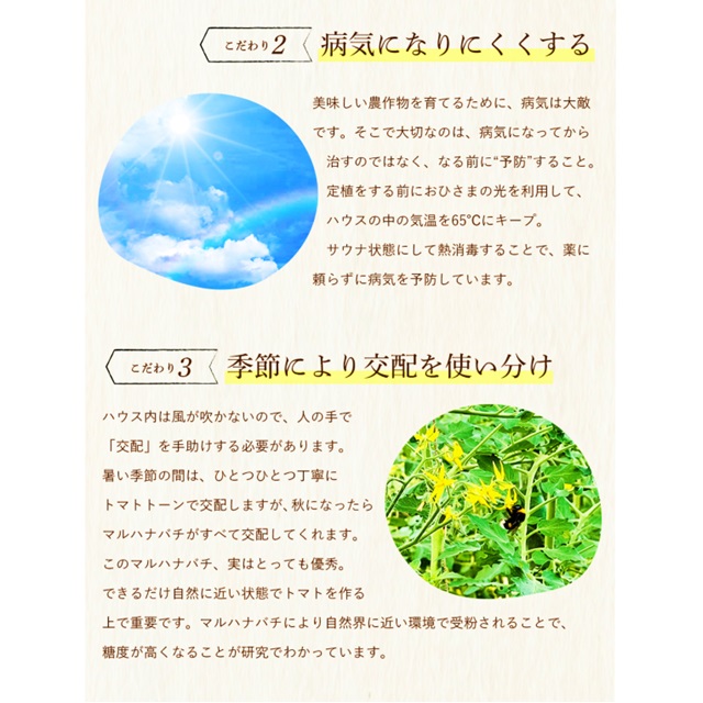 「 極み 」 ソムリエミニトマト ダイヤ 1.5kg ( 90玉～150玉 )