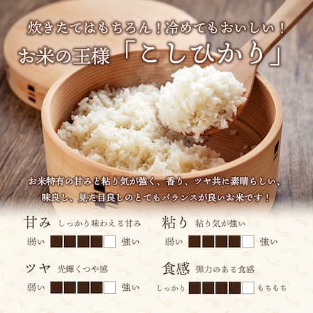 新潟産コシヒカリブレンド 10kg 令和7年産 厳選 新潟県産 白米 10キロ 産地直送 毎日食べたい飽きない味 お取り寄せ 送料無料