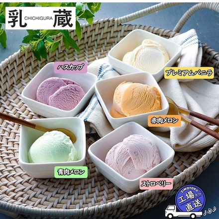 「乳蔵」 北海道アイスクリーム 5種 12個