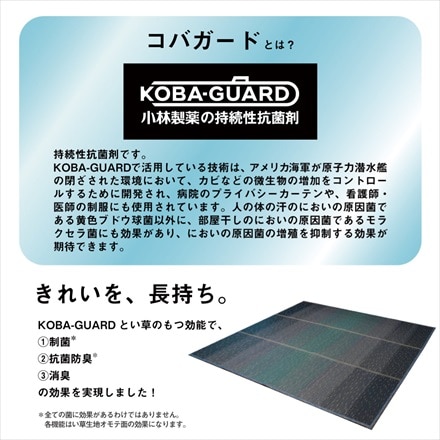 抗菌防臭・制菌加工 KOBA-GUARD い草ラグ クリア 190×190 ブルー