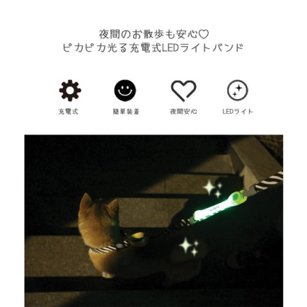 M-PETS FLASH LED BAND ORANGE