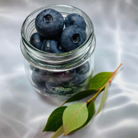 山元ヒルズファーム　無農薬ブルーベリー 500ｇ入