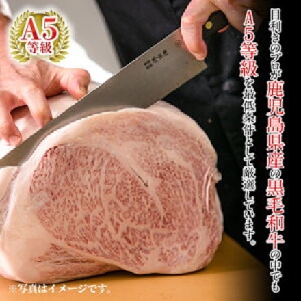 鹿児島県産 黒毛和牛リブロース肉 A5ランク 600g