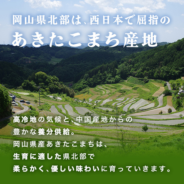 岡山県産 あきたこまち 白米 10kg 令和7年産