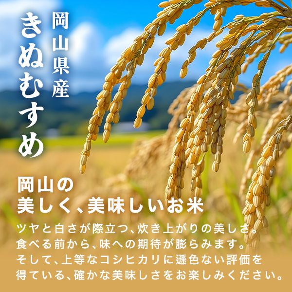 岡山県産 きぬむすめ 白米 10kg 令和7年産