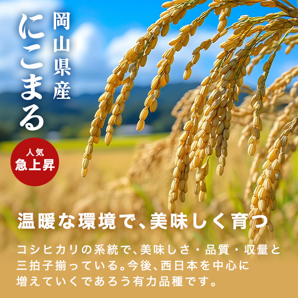 岡山県産 にこまる 白米 10kg 令和7年産