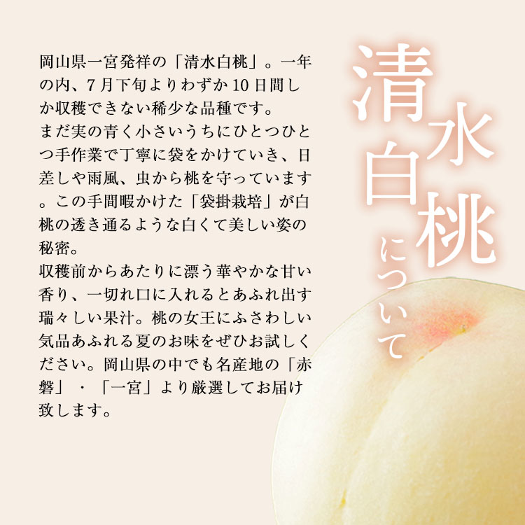 【7月中旬以降順次発送】清水白桃 贈答用 5-6玉入り 約1.5kg