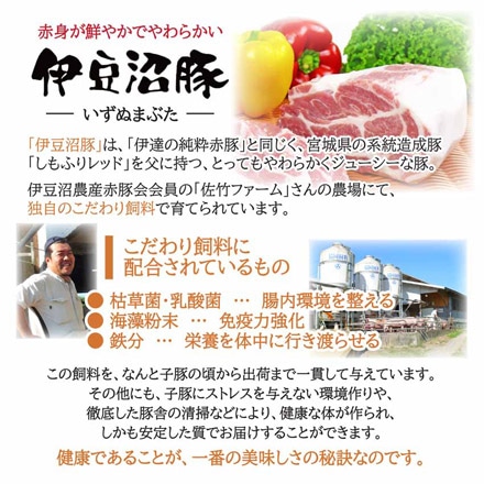 宮城県産豚 肩ロース豚丼の具（110g×5p）