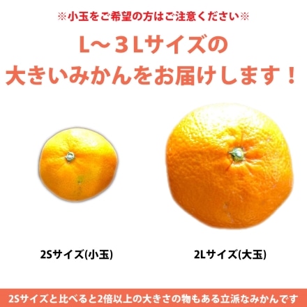 訳あり 愛媛みかん 大玉 5kg（L～3Lサイズ）20個から30個程度