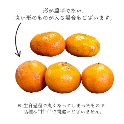 【2025年2月上旬頃より出荷予定】訳あり 愛媛産 甘平 2kg