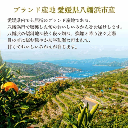 【11月上旬頃より順次出荷】お試し容量 訳あり 愛媛みかん 2kg（2S～3Lサイズ）10個から30個程度