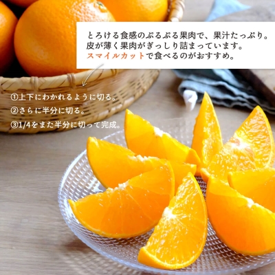 【2026年3月上旬より順次出荷】注目の新品種！紅プリンセスと同品種「愛媛果試48号」 秀品 2kg