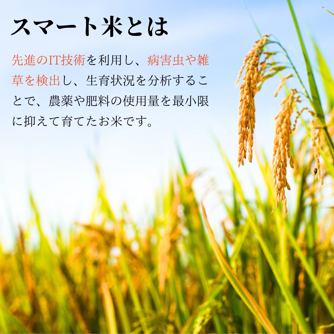 スマート米 福島県 白河産 天のつぶ 無洗米玄米 (残留農薬不検出) 1.8kg　令和5年産