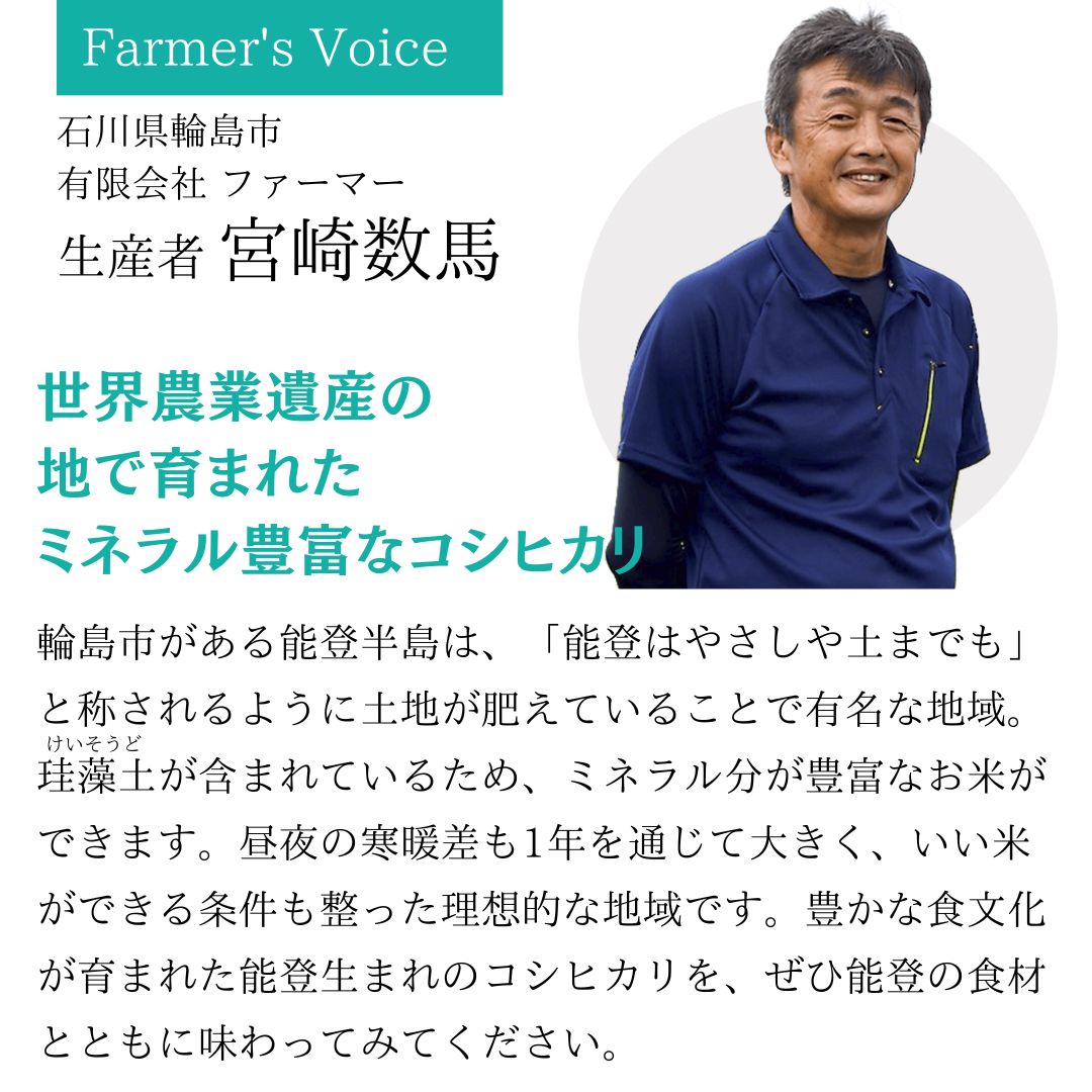 新米 スマート米 石川県奥能登産 コシヒカリ 無洗米玄米 (節減対象農薬50%以下) 5.0kg×2袋 令和6年産