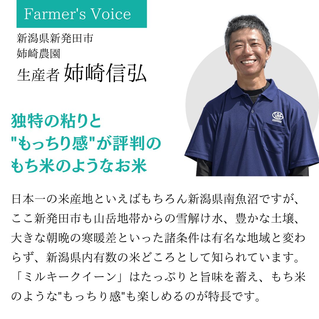 新潟県新発田産 スマート米　ミルキークイーン 無洗米玄米 (残留農薬不検出) 1.8kg×2袋セット 令和5年産