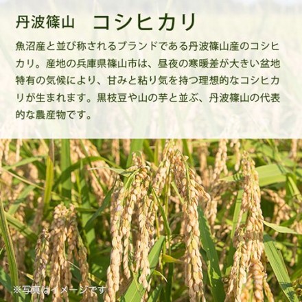スマート米 兵庫県丹波篠山産 コシヒカリ 無洗米玄米1.8kg 節減対象農薬50%以下 令和3年産