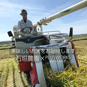2026年10月中旬より順次出荷　山形県庄内産つや姫 特別栽培米 白米 5kg 令和8年産