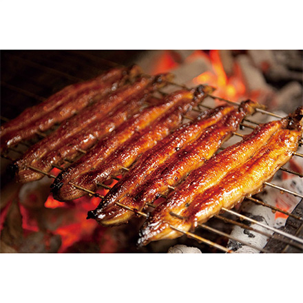 お中元 2026 九州産うなぎ蒲焼3尾＋蒲焼きざみごぼう入2袋 1602-025
