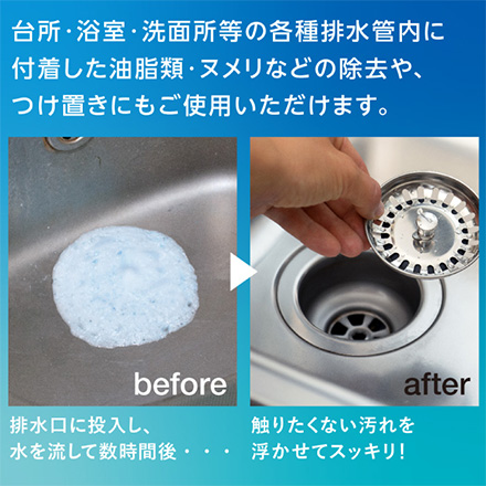 排水口洗浄剤 排水溝 洗浄剤 泡ラク アルファックス