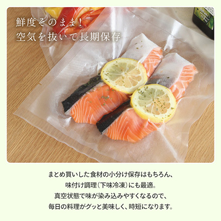 真空シーラーFreshPlanグリーン FDC