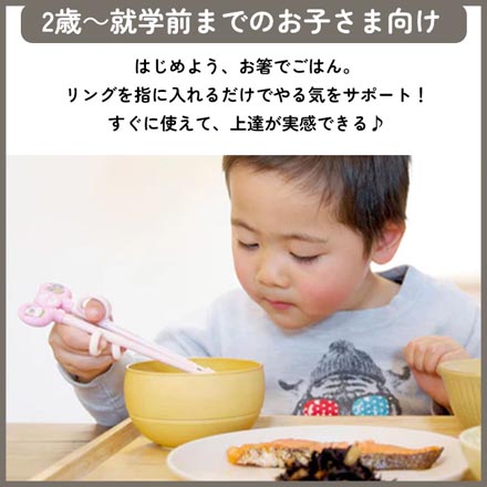 エジソンのお箸 右手用 ぱんだ