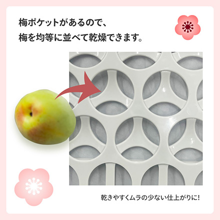 ザル 干しザル 梅干し 丸型