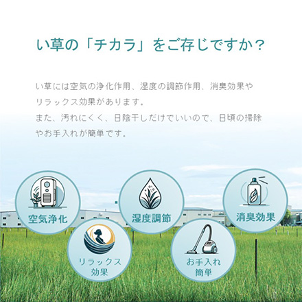 カーペット ラグ 畳 ひより 180×180cm ブルー