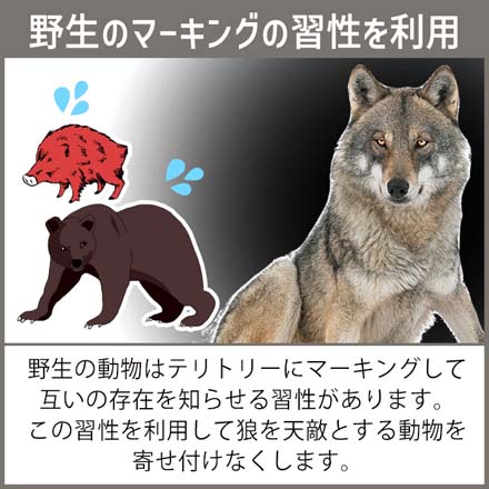 クマ除け 害獣対策 害獣忌避 ウルフピー 1個