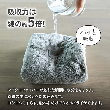 バスタオル シービージャパン カラリデイバスタオル2枚組 グレー