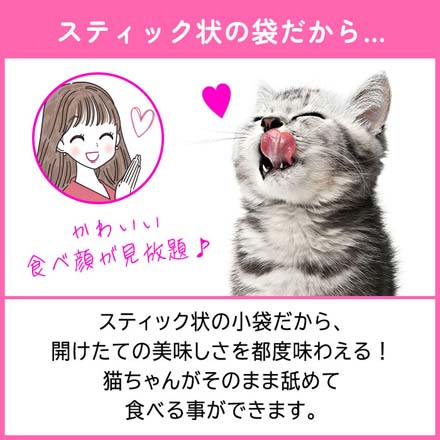 いなばペットフード ペットおやつ ちゅーる 20本入 6個 まぐろバラエティ