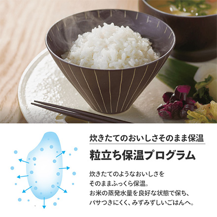 タイガー ご泡火炊き 5.5合炊き オフブラック JRI-G100KO